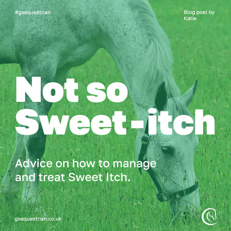 Not so Sweet-Itch: Advice on how to manage and treat Sweet Itch