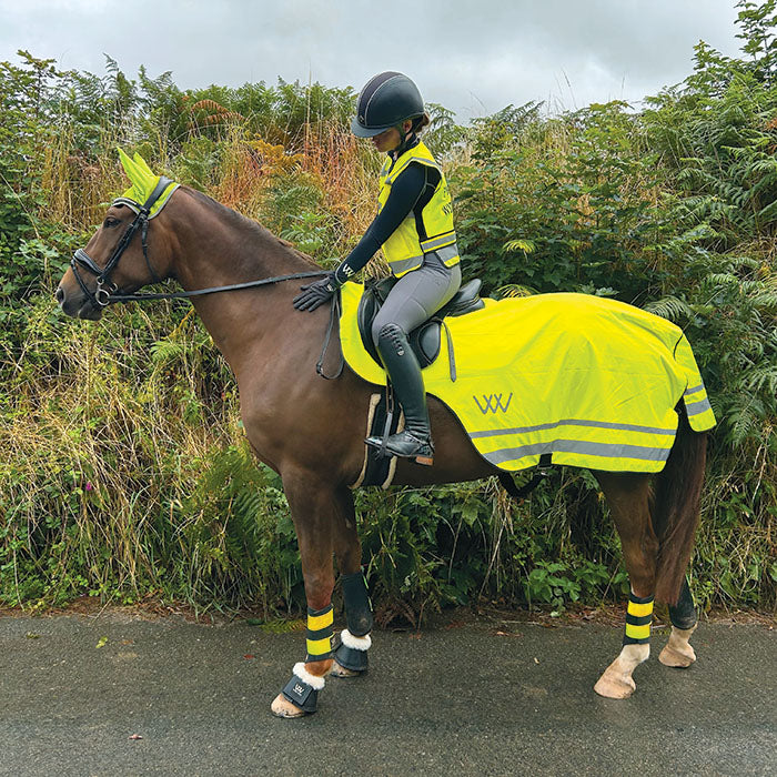 Woof Wear Hi Vis Vest Top Woof Wear Hi Vis Exercise Sheet – GS