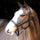 Liveryman Clipping Headcollar #colour_black