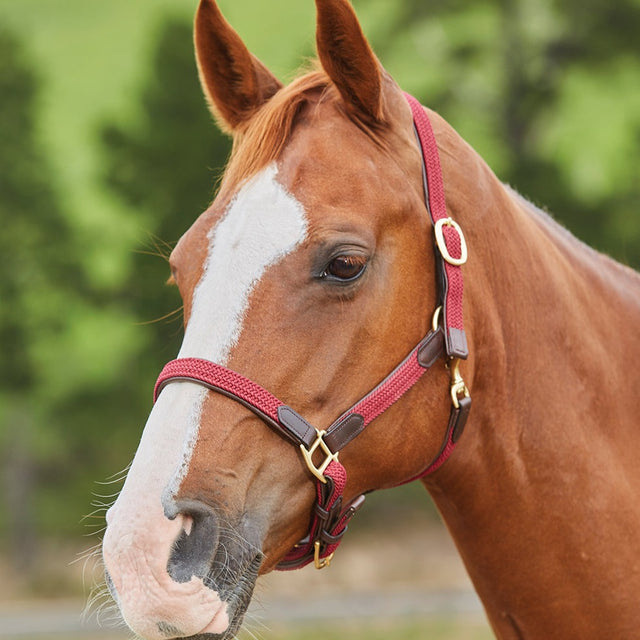 Kincade Braided Leather Headcollar #colour_maroon