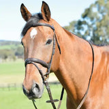 Kincade Classic Plain Raised Flash Bridle With Reins #colour_brown