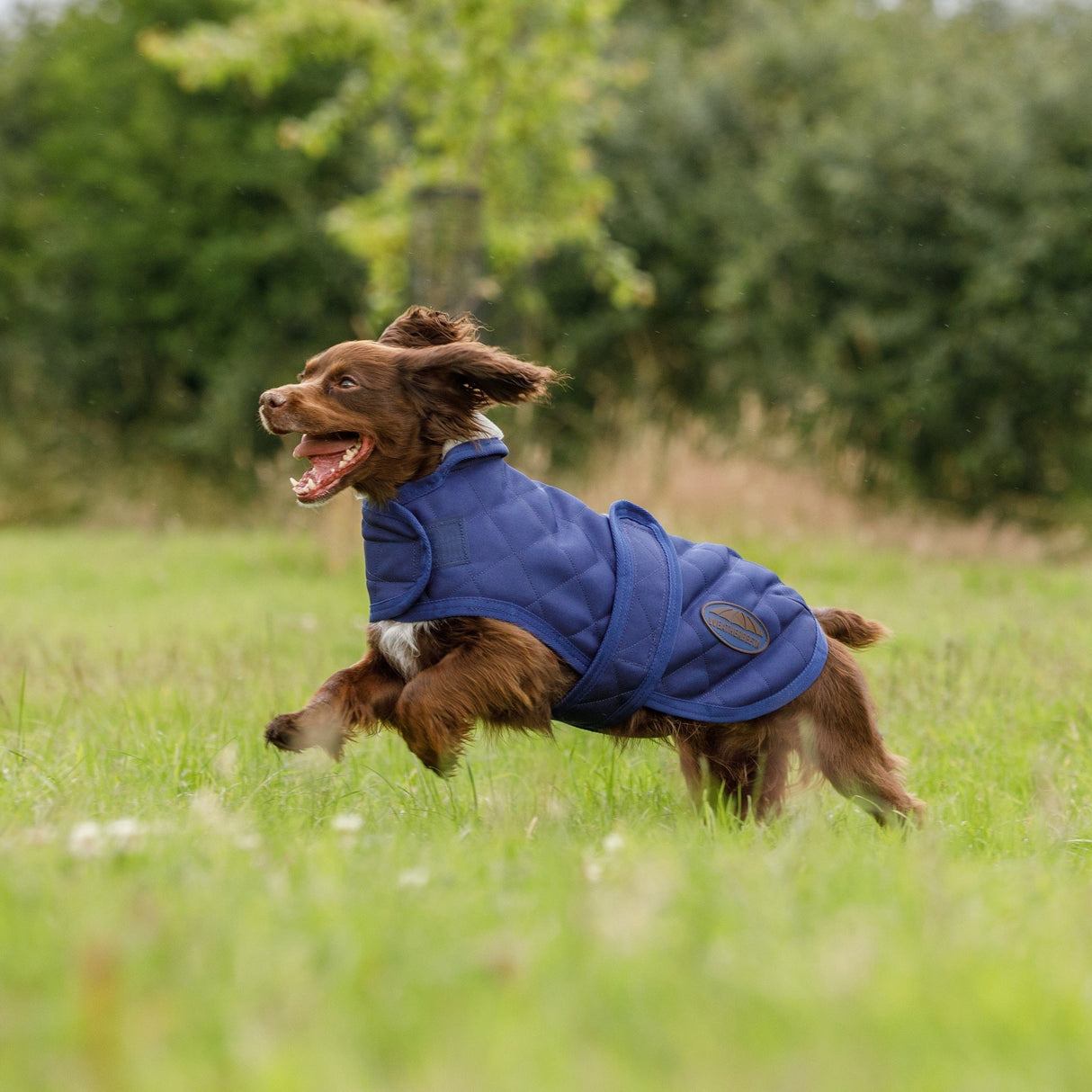 Weatherbeeta Comfitec Deluxe Diamond Quilt Dog Coat #colour_navy