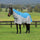 Weatherbeeta Comfitec Dual Shield Detach-A-Neck #colour_blue-grey