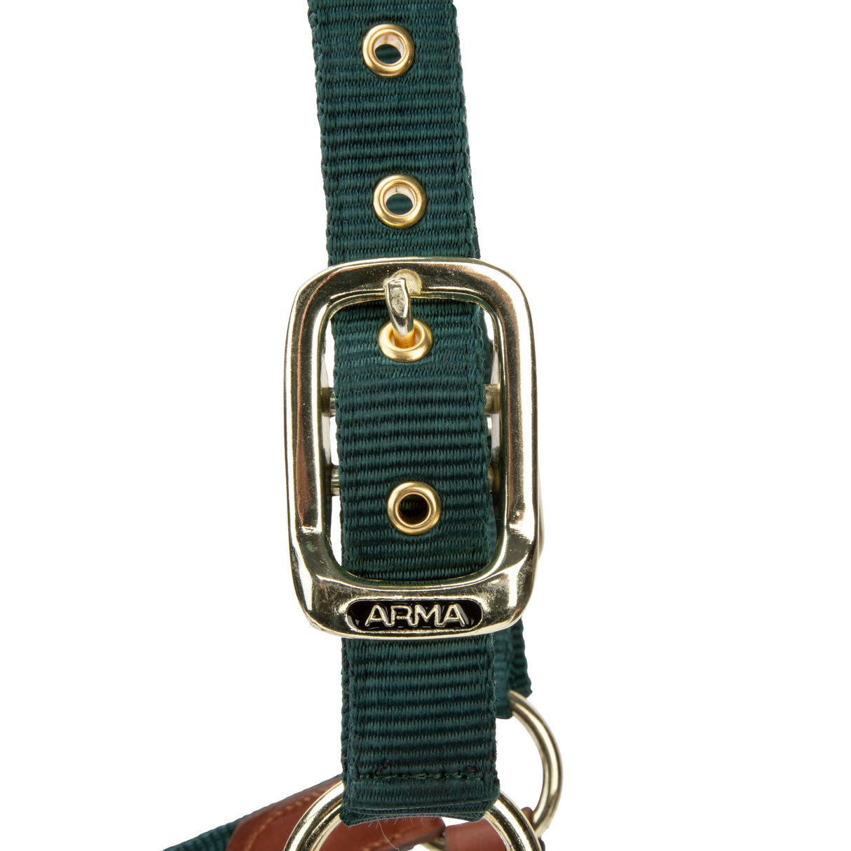 Shires ARMA Porto Headcollar #colour_green