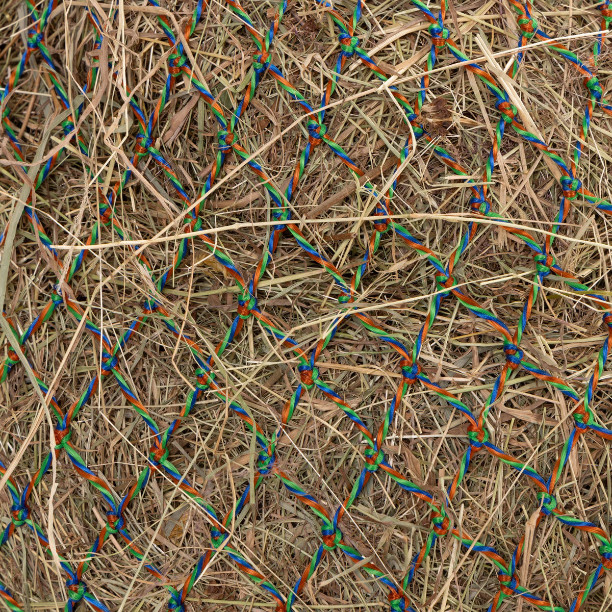 Shires Greedy Feeder Colour-Twist Net #colour_green-twist