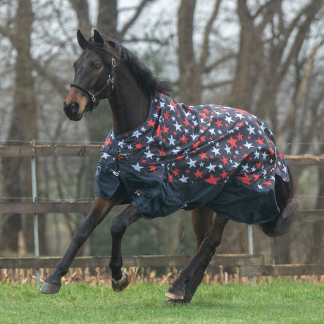 HKM 600D 100g Highneck Rug -Norwich- #colour_blue-with-stars-design