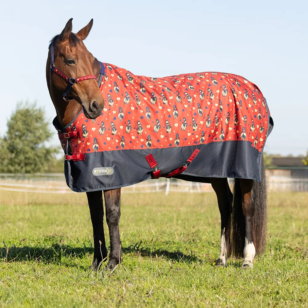 StormX Original 100g Turnout Rug - Thelwell Collection Balancing Act