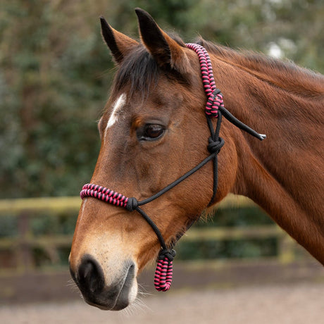 Hy Equestrian Double Braid Rope Halter #colour_pink