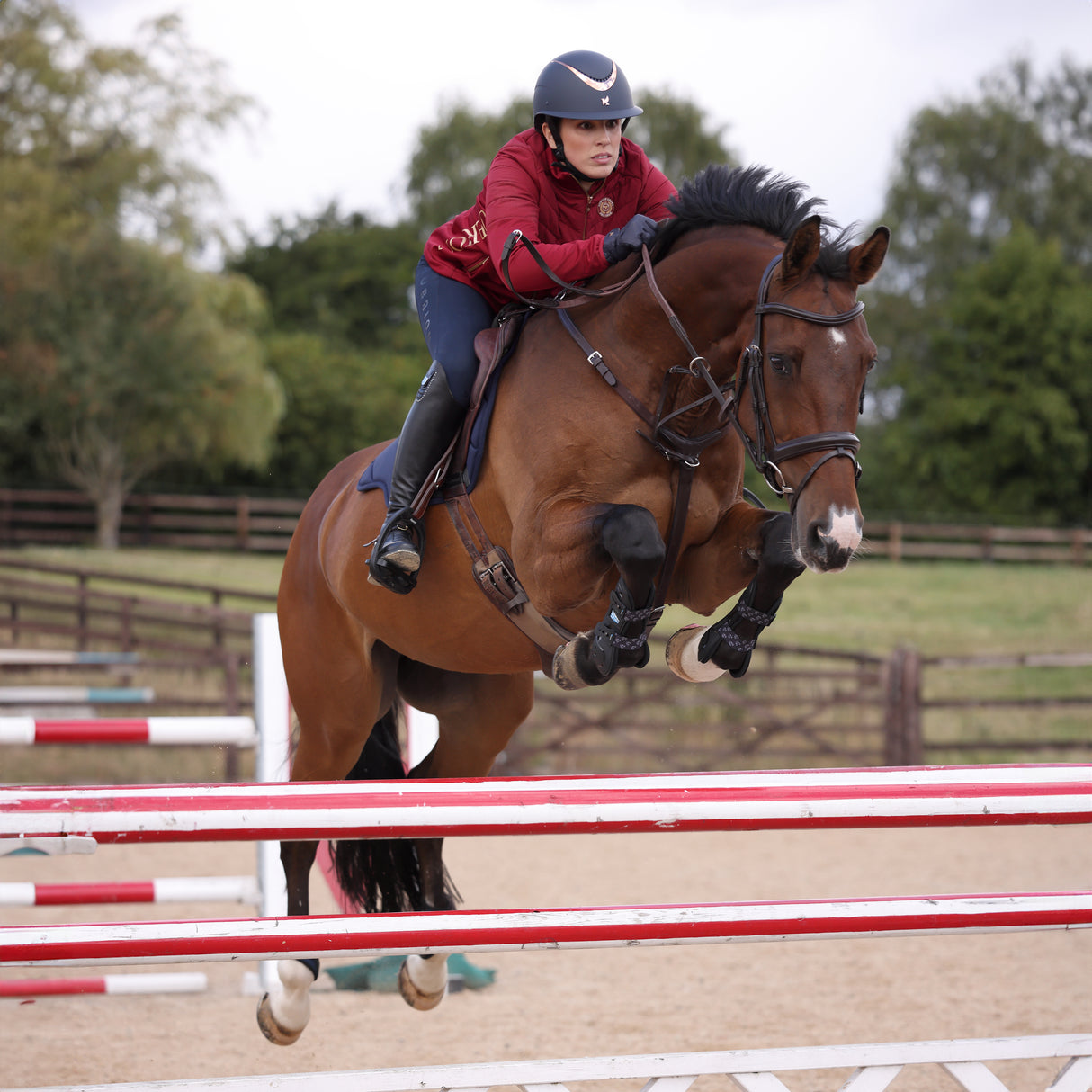 Shires ARMA Carbon Tendon Boots #colour_black