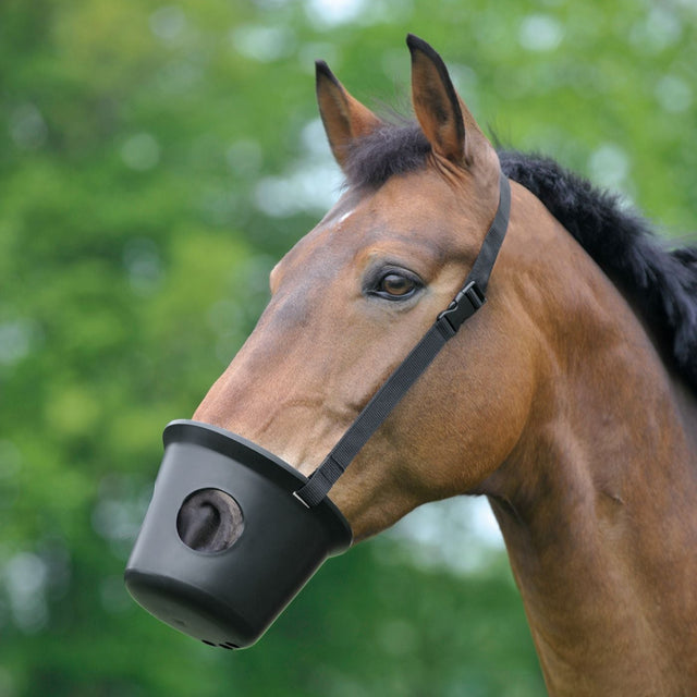 Waldhausen Muzzle #colour_black