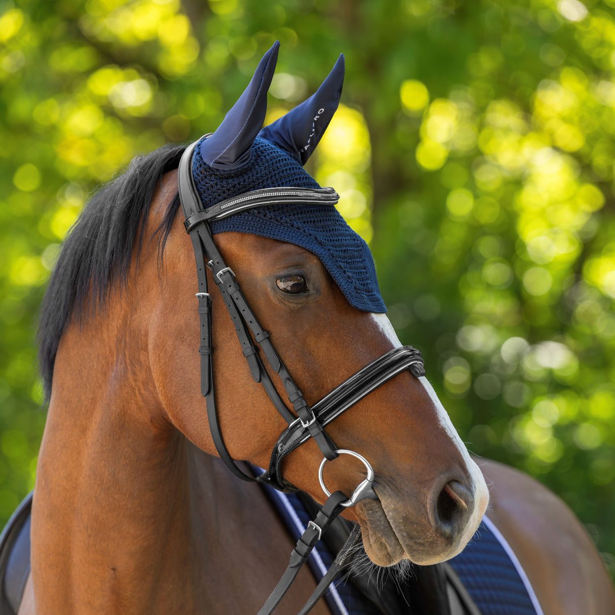 Covalliero Fly Veil #colour_dark-navy