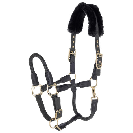Covalliero Anniversary Headcollar #colour_graphite