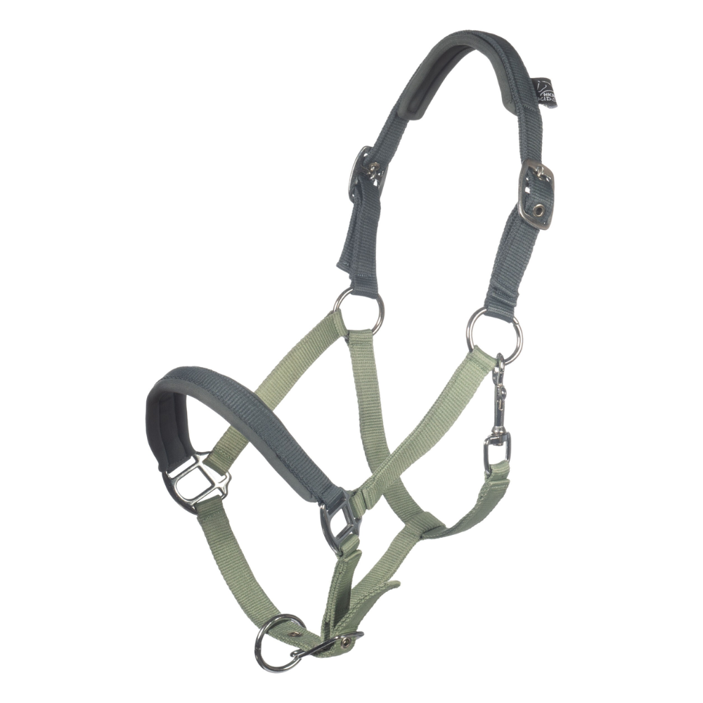 HKM Head Collar -Barnie- #colour_bright-green-dark-green