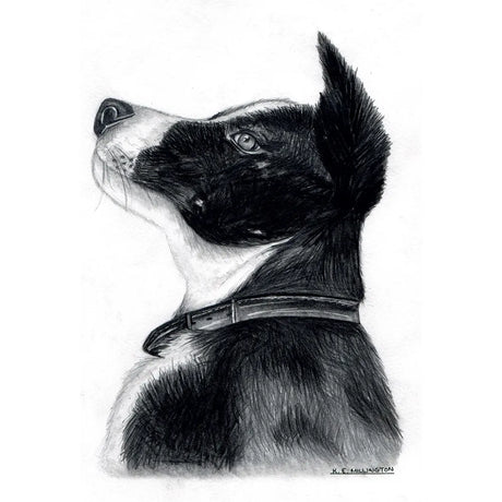 Kevin Milner Countryside Cards #style_collie-dog-art