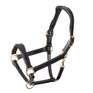 Shires Velociti Rapida Cushioned Leather Headcollar #colour_black