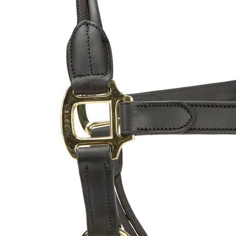 Shires Velociti Lusso Soria Leather Headcollar #colour_black