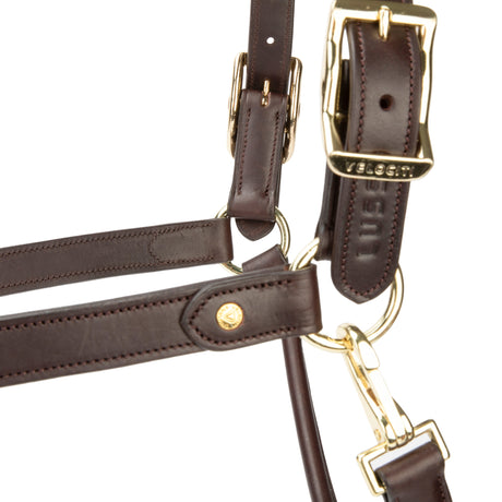 Shires Velociti Lusso Soria Leather Headcollar #colour_havana