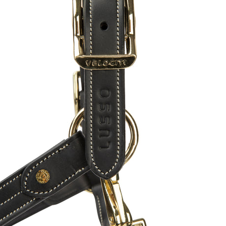 Shires Velociti Lusso Girona Leather Headcollar #colour_black