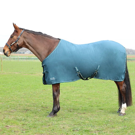 StormX Empra Pima Cotton Sheet #colour_teal