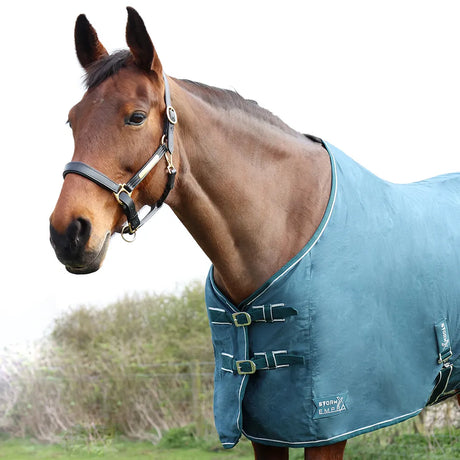 StormX Empra Pima Cotton Sheet #colour_teal