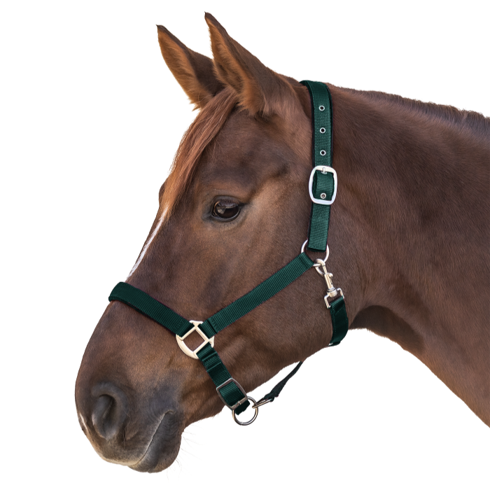 Waldhausen Satin Perlon Halter #colour_fir-green