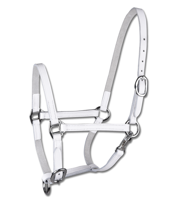 STAR Leather Foal Halter #colour_white