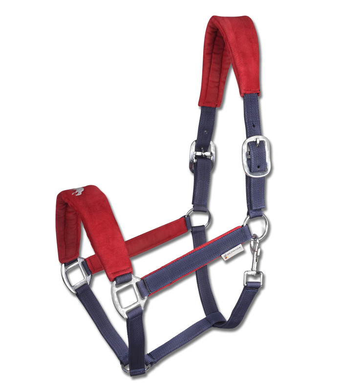 Waldhausen Hellnar Icelandic Halter #colour_navy-red