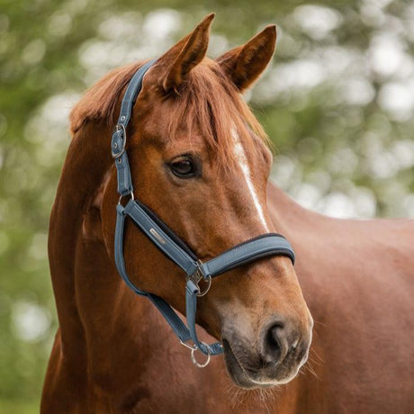 Waldhausen Mesh Halter #colour_chalkblue