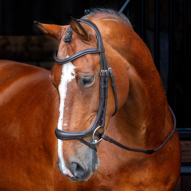 Shires Velociti RAPIDA Ergonomic Curved Flash Bridle #colour_black