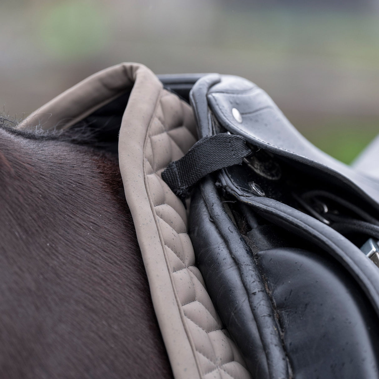 HV Polo Essential Dressage Saddle Pad #colour_stone