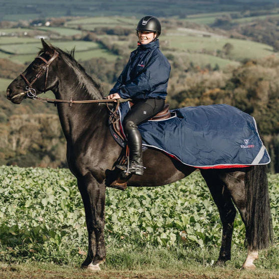 EQUIDRY Exercise Sheet Thick #colour_navy-raspberry