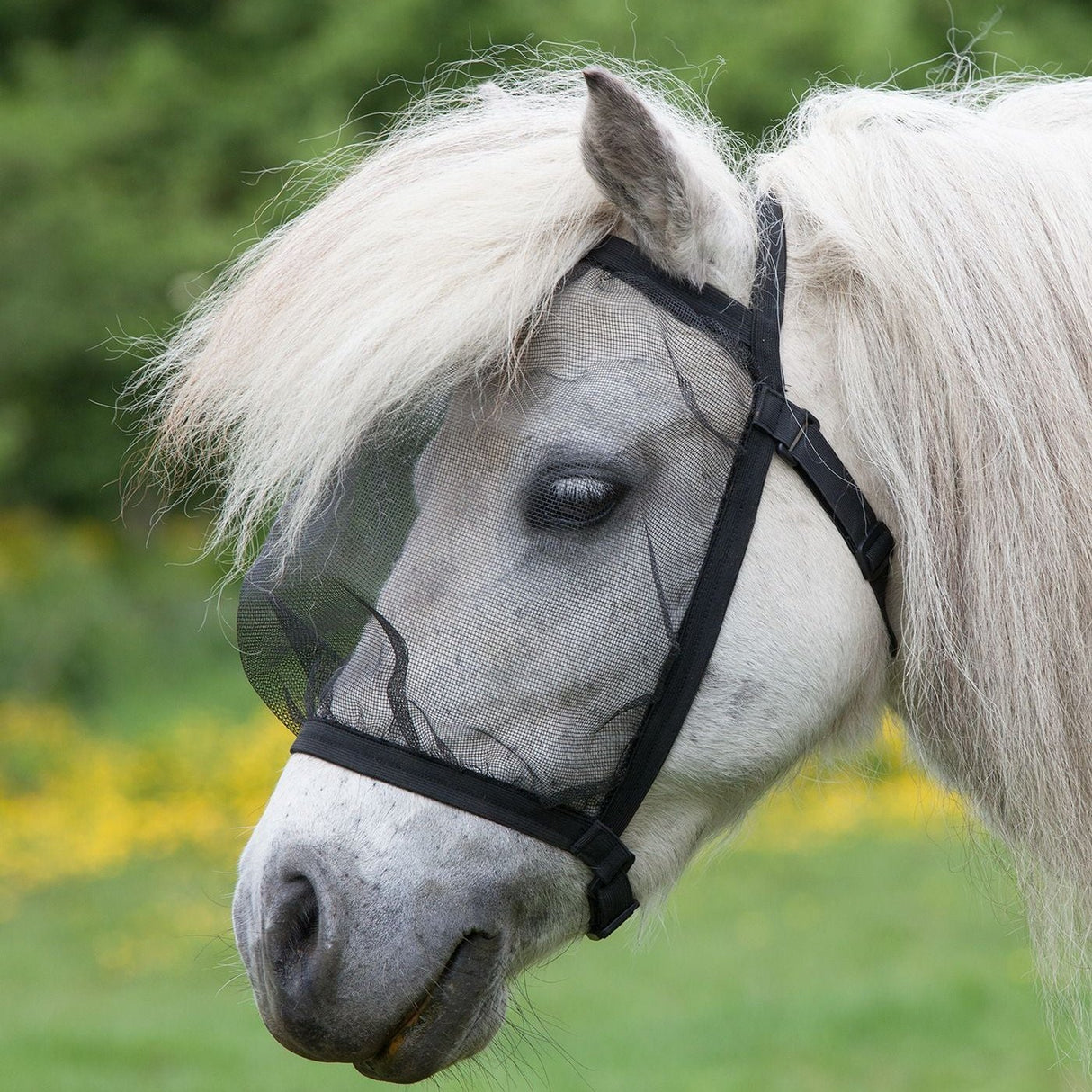 Waldhausen Basic Fly Mask without Ears #colour_black