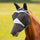 Shires FlyGuard Pro Fine Mesh Fly Mask With Ears & Nose #colour_black