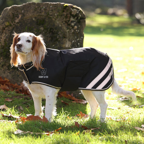 Shires Digby & Fox Waterproof Dog Coat