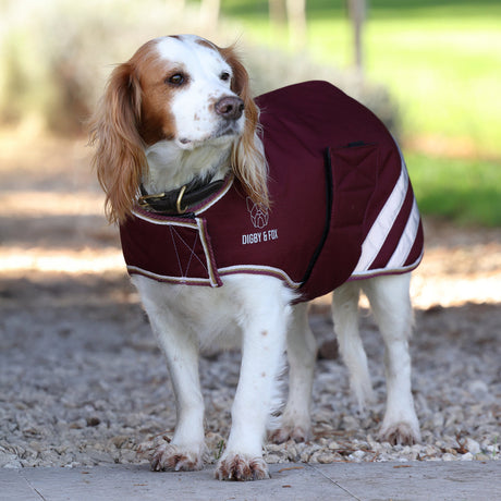 Shires Digby & Fox Waterproof Dog Coat