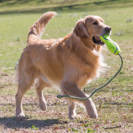 KONG AirDog Fetch Stick With Rope #size_l