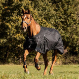 Waldhausen Scandic 200g Turnout Rug #colour_black