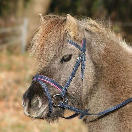 STAR Unicorn Bridle 2 #colour_night-blue-azalee