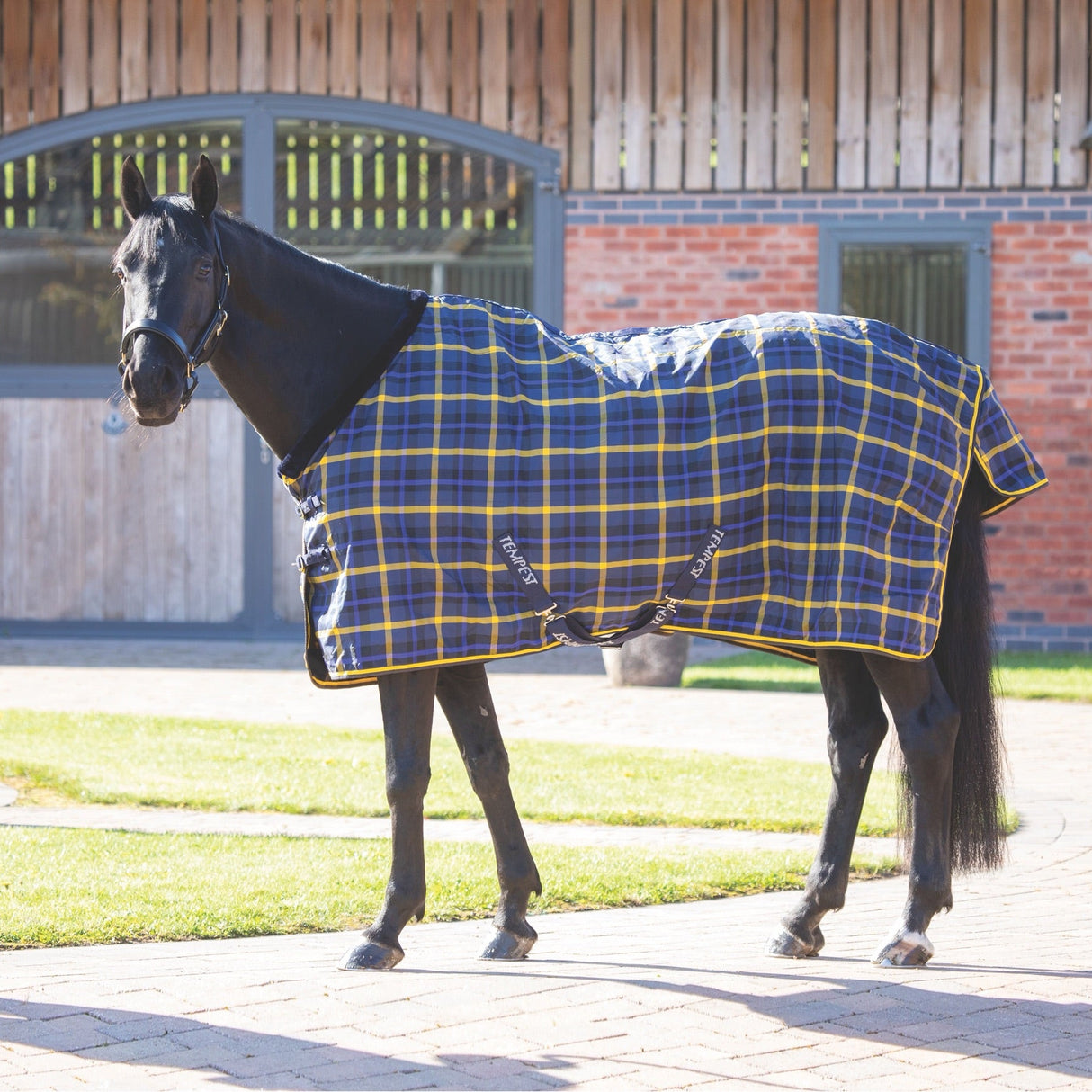 Shires Tempest Plus Lite Stable Rug #colour_navy-check