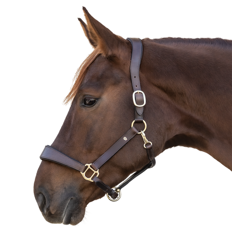 Waldhausen S-Line Anatomic Leather Halter #colour_brown