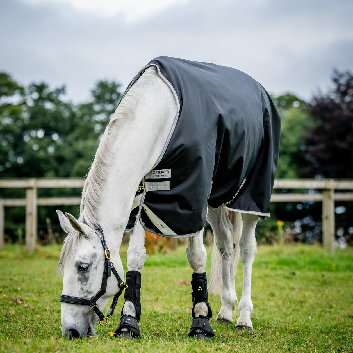 Horseware Ireland Amigo Bravo 12 Original 50g Lite Turnout Rug #colour_black-titanium-grey-silver