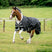 Horseware Ireland Amigo 1200D XL 150g Turnout Rug #colour_black-titanium-grey-silver