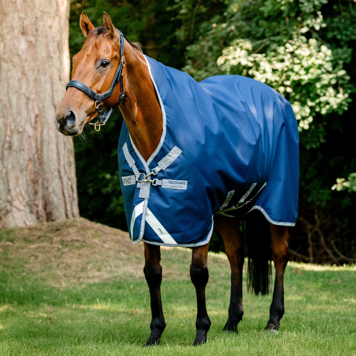 Horseware Ireland Amigo Bravo 12 Wug 0g Lite Turnout Rug #colour_navy-titanium-grey-silver