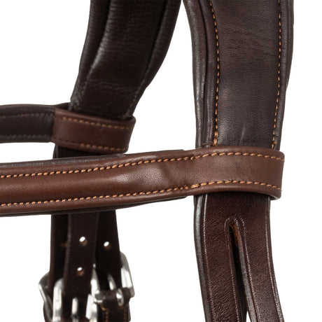 Filosofia bridle calfskin