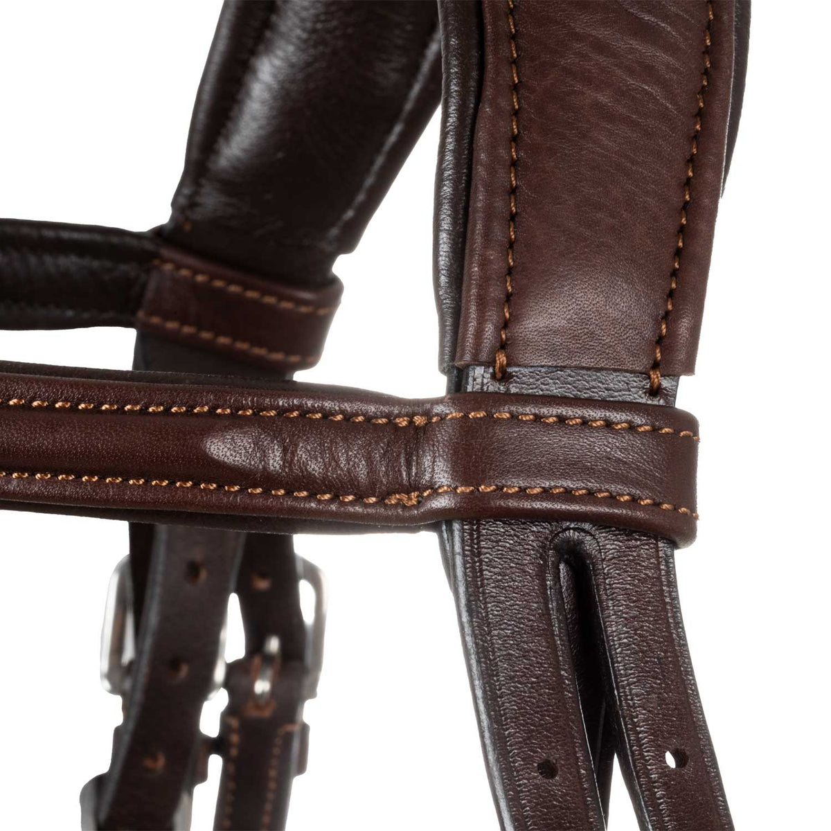 Primavera bridle calfskin