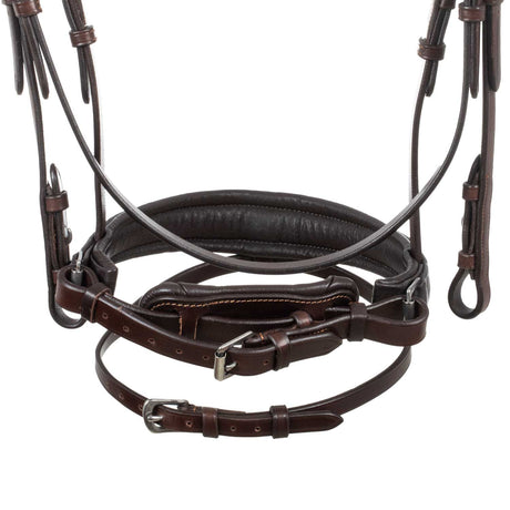 Primavera bridle calfskin