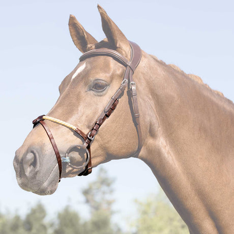 Rope flash noseband
