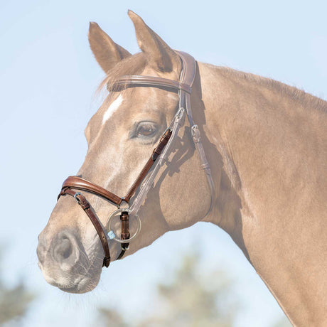Flash noseband quick coupling
