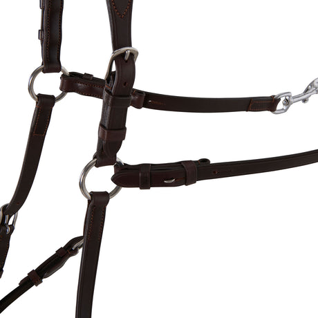 Five-point breastplate calfskin