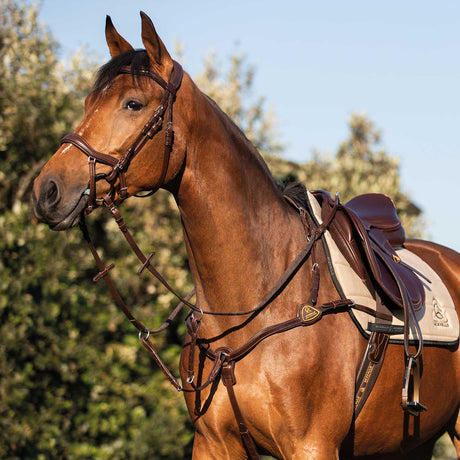 Five-point breastplate calfskin